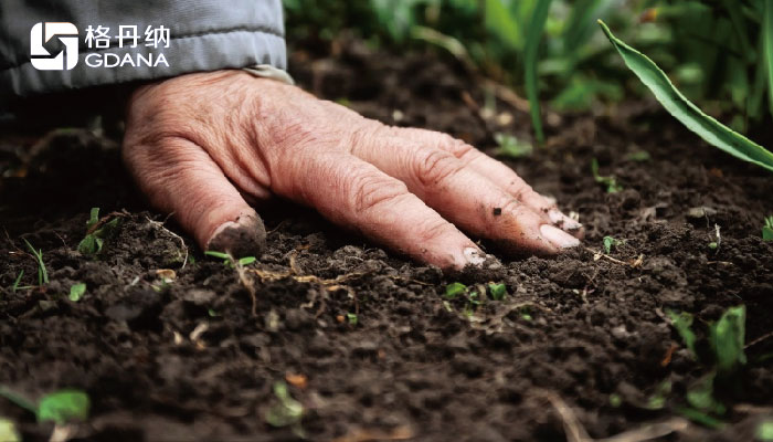 全自動石墨消解儀采用冷消解與無冷消解在土壤應用的區(qū)別