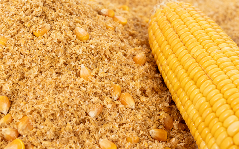 免水全自動凱氏定氮法測定玉米麩的含氮量 免水全自動凱氏定氮法測定玉米麩的含氮量